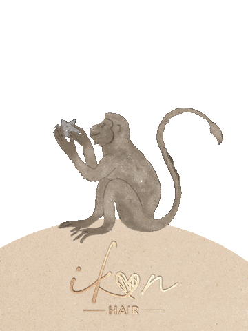 Ikon Hair Cork Sticker