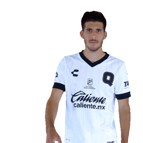 Liga Mx Gallos Sticker by Club Querétaro