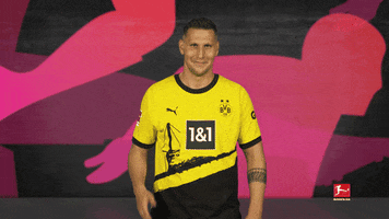 Borussia Dortmund Dj GIF by Bundesliga
