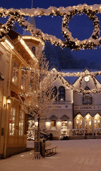 christmas lights GIF