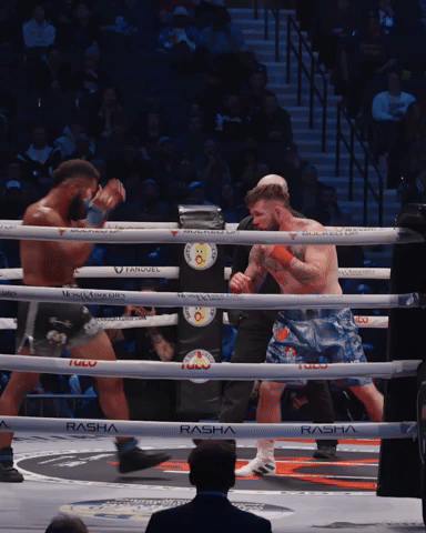 BKFC GIF
