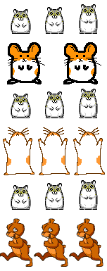 hamster