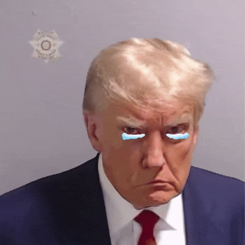 Sad Donald Trump GIF by Leroy Patterson