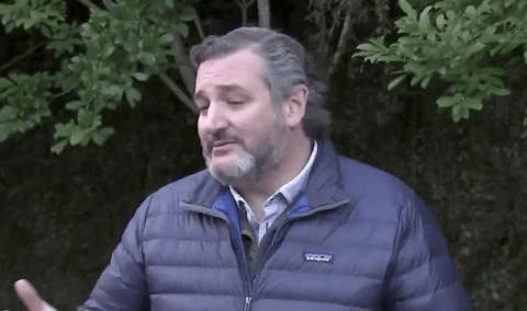 Ted Cruz Cancun GIF by GIPHY News - Find & Share on GIPHY