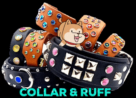 CollarAndRuff dog collars collar ruff bling dog bling dog collar GIF