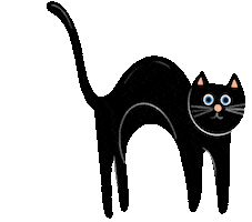 Black Cat Sticker