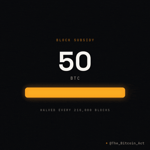 Block Reward GIF by The Bitcoin Act