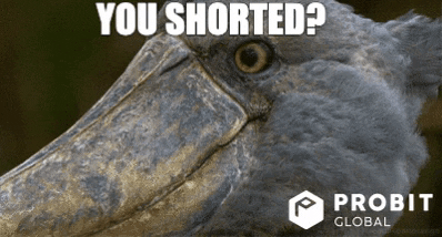 Crypto Bitcoin GIF by ProBit Global thumbnail