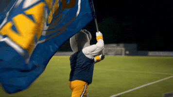 Flag Cheer GIF by Georgia Southwestern State University