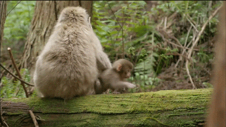 mom stay here GIF
