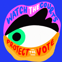 Protect Election 2020 GIF by Creative Courage