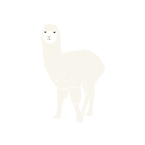White Sticker