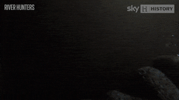 History Channel River Hunters GIF by Sky HISTORY UK