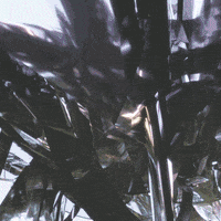200.gif?cid=fc005b0889dcff74a2e6cbba0720b2286ce8a0b639e4184d&rid=200.gif&ct=g