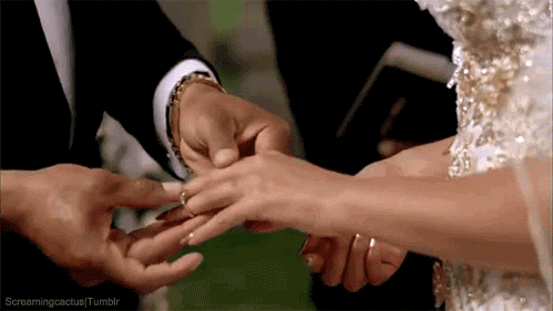giphy.gif?cid=790b761125c78e04b28c0887ac8171546e3dca4f59ab0431&rid=giphy.gif&ct=g