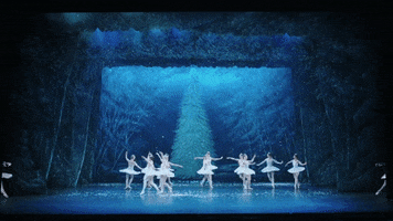 Nutcracker GIF by English National Ballet