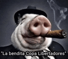Copa Libertadores GIF