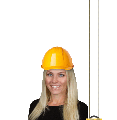 BlondesHaveMoreFunds Sticker