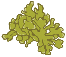 Tree Sticker