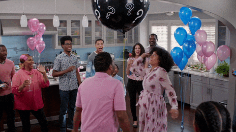 giphy.gif?cid=6c09b952c0bf7131e373db1e30