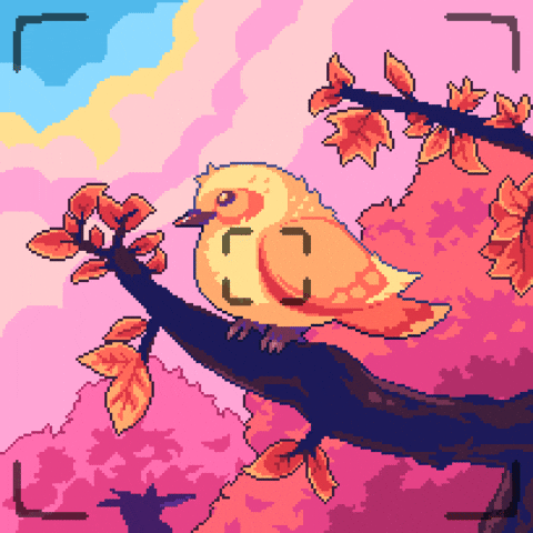 Bird GIF