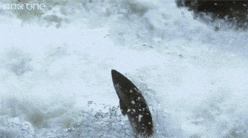 200_s.gif