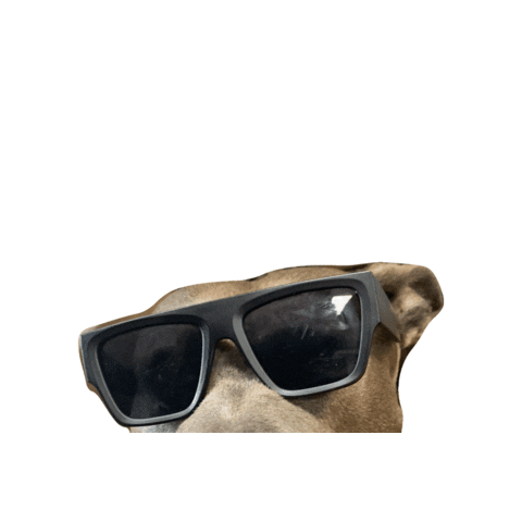 Sticker by Steele House Nutrition