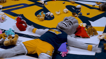 Teddy Bear Hurricanes GIF by Georgia Southwestern State University