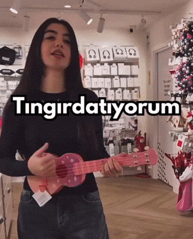 Sanatinalpcizgisi GIF