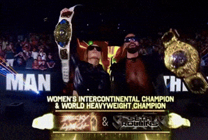 Seth Rollins Wwe GIF