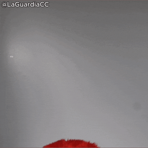 Pop Up Hello GIF by LaGuardia Community College