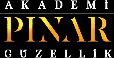 Pinar Akademi GIF