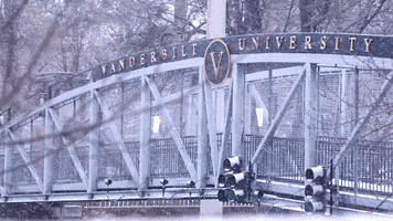 Snow Day GIF by Vanderbilt University