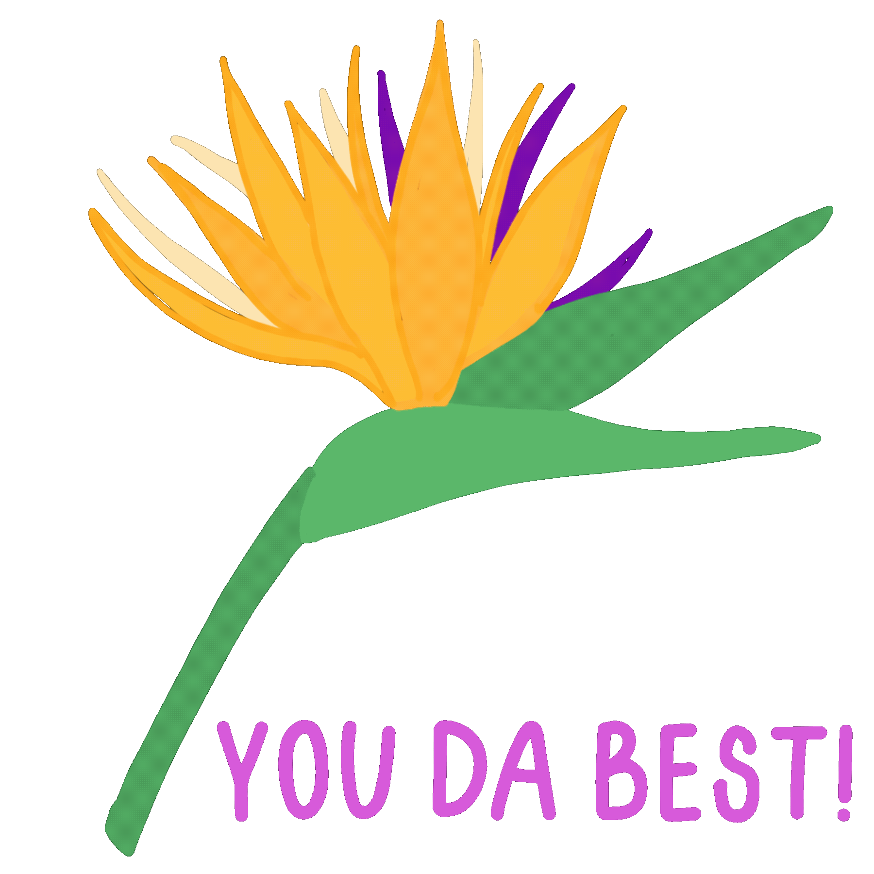 Bird Of Paradise Flower Sticker by Design Jord for iOS & Android GIPHY