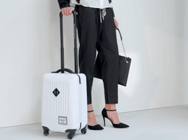 carolinmichaelaeisl  GIF