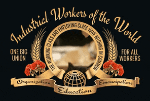 Organize Black Cat GIF by Industrial Workers of the World