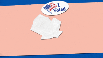 Register To Vote 2020 Election GIF by ACLU