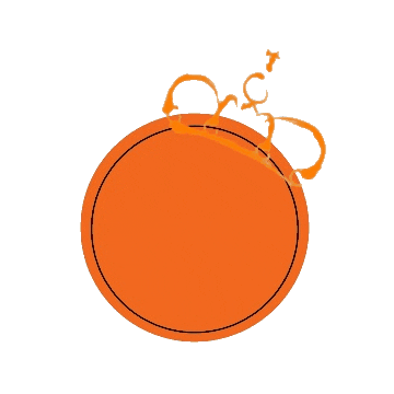 Curacao Sticker by Plein Café Wilhelmina