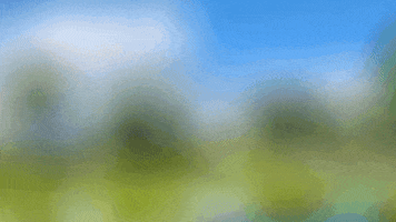 Bioart GIF