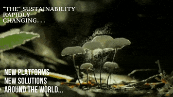 Sustainabilityscience GIF