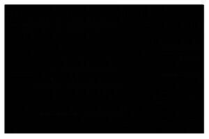 GIF by Winclap