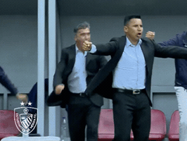 Emfc GIF