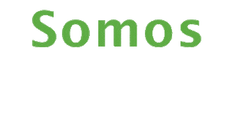 Dgiird Sticker by Dirección General de Impuestos Internos