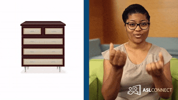 American Sign Language Dresser GIF by ASL Connect