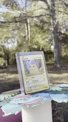 Pokemon Get Some GIF