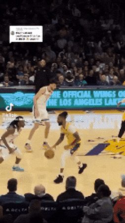 Dangelo Russell Lebron GIF