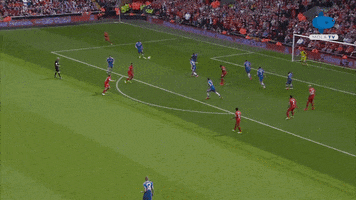 Chelsea Liverpool GIF by MolaTV