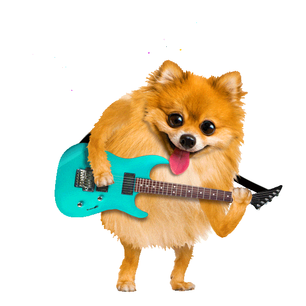 Dog Rock Out Sticker by Chris Timmons for iOS & Android | GIPHY