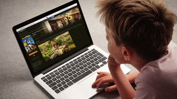 BigCartoonFestival GIF