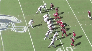 Buccaneers GIF